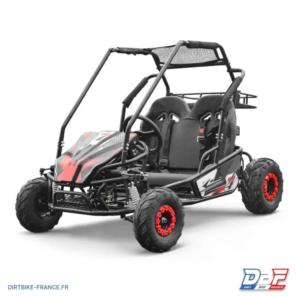 Buggy 212cc enfant 2 places PANTHER, photo 1 sur Dirt Bike France