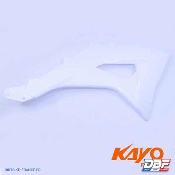 CARENAGE AV DROIT KAYO TS 90, photo 1 sur Dirt Bike France