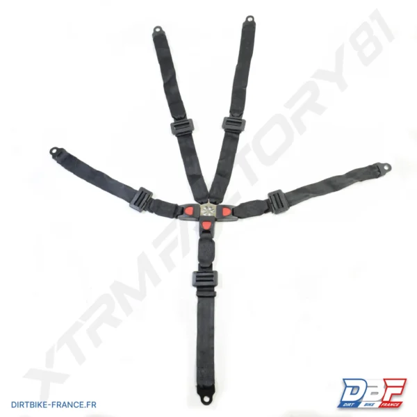 CEINTURE COMPLETE BUGGY BLAZER 200 CC, photo 1 sur Dirt Bike France