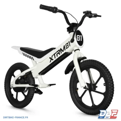 Draisienne électrique pour enfant 36V 350W DX 16 BLANC, photo 1 sur Dirt Bike France