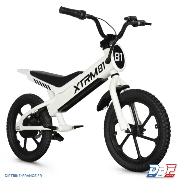 Draisienne électrique pour enfant 36V 350W DX 16 BLANC, photo 1 sur Dirt Bike France