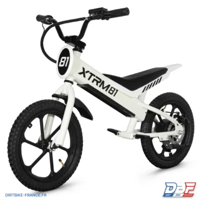 Draisienne électrique pour enfant 36V 350W DX 16 BLANC, photo 2 sur Dirt Bike France