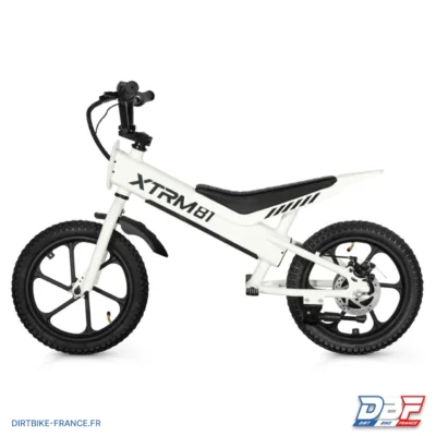 Draisienne électrique pour enfant 36V 350W DX 16 BLANC, photo 3 sur Dirt Bike France