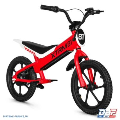 Draisienne électrique pour enfant 36V 350W DX 16 ROUGE, photo 1 sur Dirt Bike France