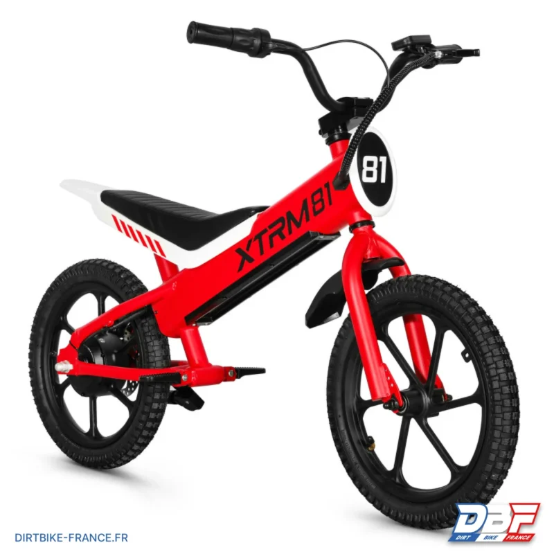 Draisienne électrique pour enfant 36V 350W DX 16 ROUGE, Dirt Bike France - Photo N°1