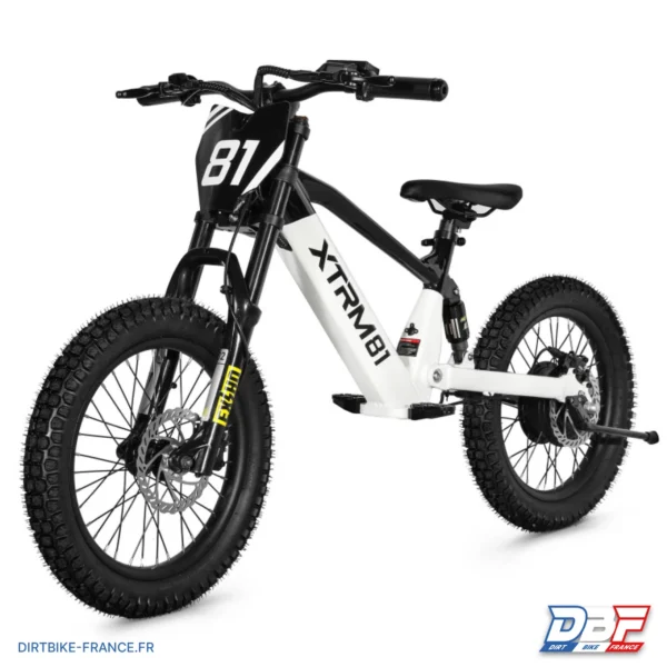 Draisienne électrique pour enfant 36V 500W DX 18 BLANC, photo 2 sur Dirt Bike France