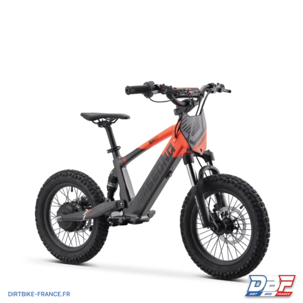 Draisienne électrique sedna sx 16" Orange, photo 7 sur Dirt Bike France