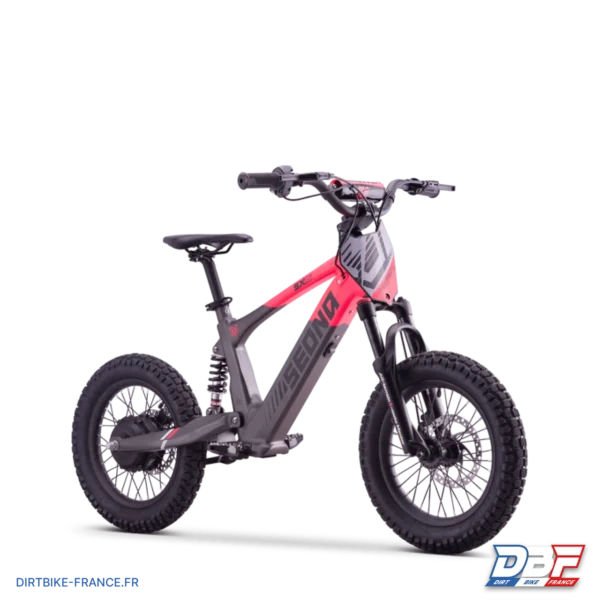 Draisienne électrique sedna sx 16" Rose, photo 7 sur Dirt Bike France
