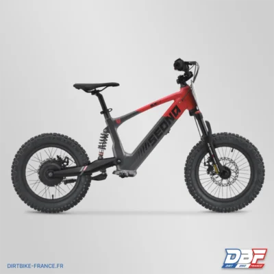 Draisienne électrique sedna sx 16" Rouge, photo 3 sur Dirt Bike France