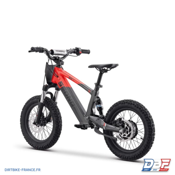 Draisienne électrique sedna sx 16" Rouge, photo 4 sur Dirt Bike France