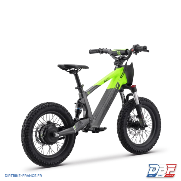 Draisienne électrique sedna sx 16" Vert, photo 2 sur Dirt Bike France