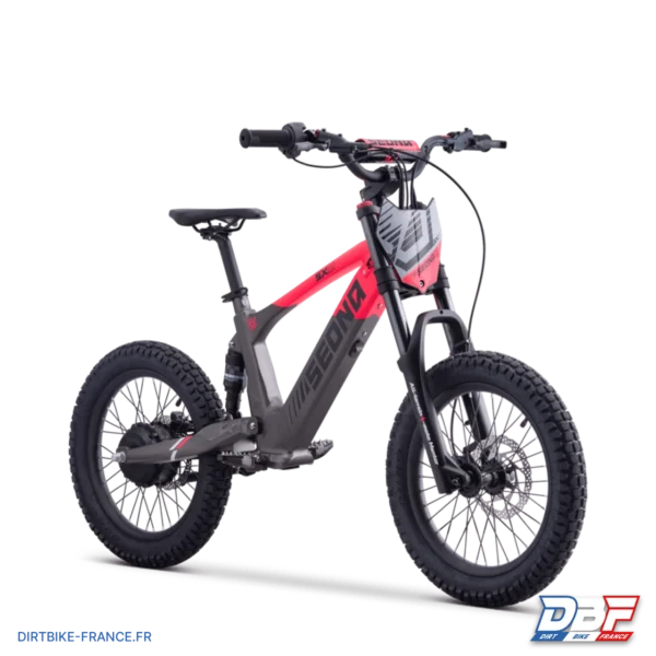 Draisienne électrique sedna sx 18" Rose, photo 7 sur Dirt Bike France
