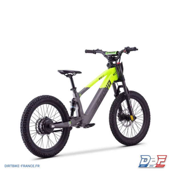 Draisienne électrique sedna sx 20" Vert, photo 2 sur Dirt Bike France