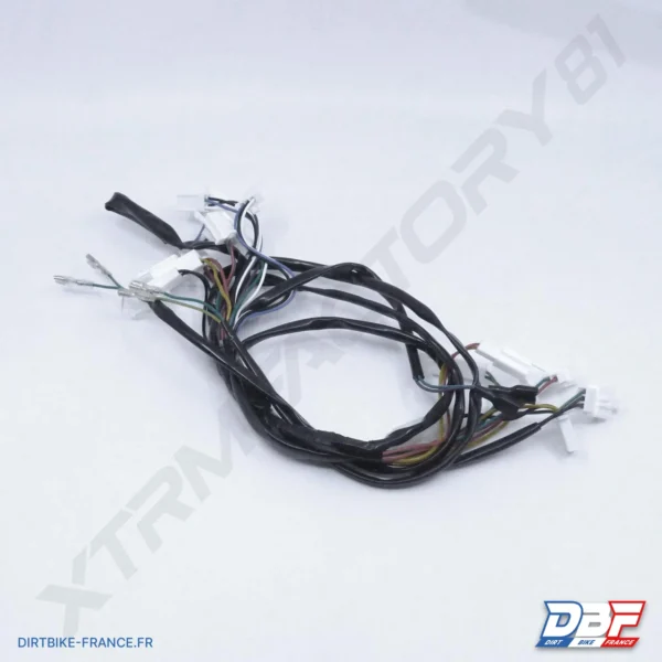FAISCEAU ELECTRIQUE BIBOU 800W, photo 1 sur Dirt Bike France