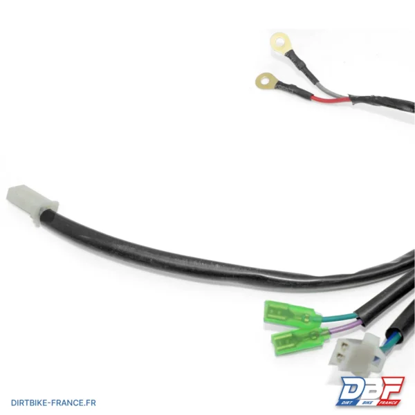 FAISCEAU ELECTRIQUE BUGGY 125 2019+, photo 3 sur Dirt Bike France