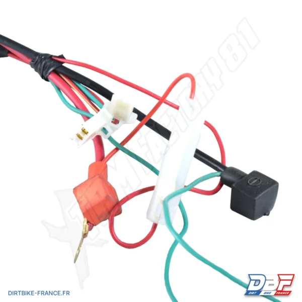 Faisceau électrique pocket quad, photo 1 sur Dirt Bike France