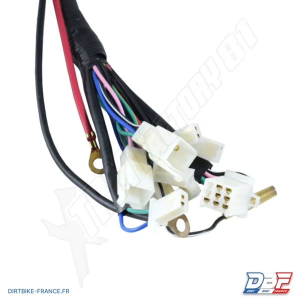 Faisceau électrique pocket quad, photo 2 sur Dirt Bike France