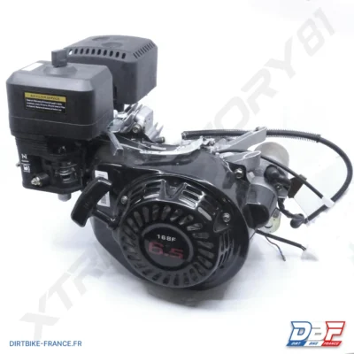 MOTEUR COMPLET BUGGY BLAZER 200CC 6.5CV, photo 1 sur Dirt Bike France