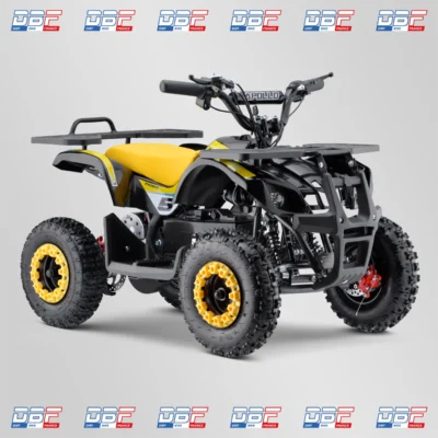 Pocket quad enfant electrique 800w apollo tiger 6" 2023 Jaune Dirt Bike France