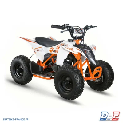 Pocket Quad Kayo A50, photo 1 sur Dirt Bike France