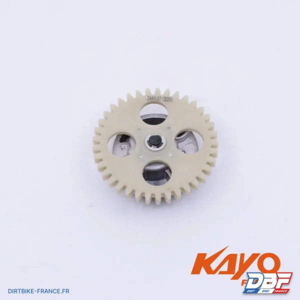 POMPE À HUILE KAYO 250 T4, photo 1 sur Dirt Bike France
