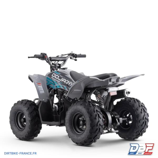 Quad odjar predator 110, photo 6 sur Dirt Bike France