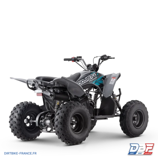 Quad odjar predator 125, photo 3 sur Dirt Bike France