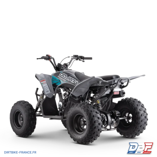 Quad odjar predator 125, photo 6 sur Dirt Bike France