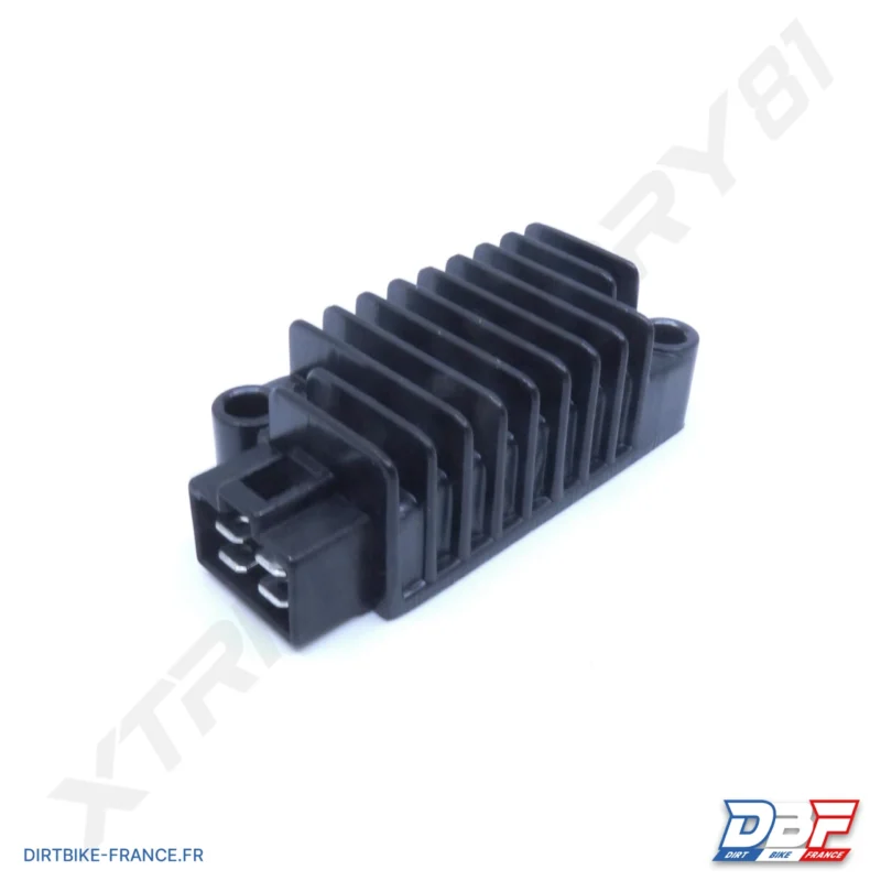 REGULATEUR BUGGY 210 K3, Dirt Bike France - Photo N°1