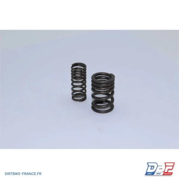 Ressorts de soupape 110/125cc, photo 1 sur Dirt Bike France