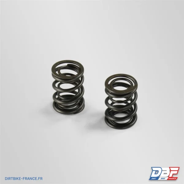Ressorts de soupape 140/149 yx, photo 1 sur Dirt Bike France