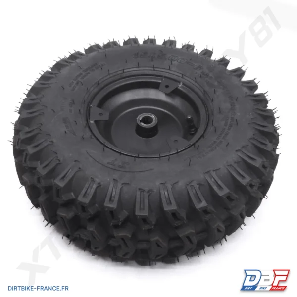 ROUE COMPLETE ARRIERE GAUCHE BUGGY UTV KID, photo 1 sur Dirt Bike France