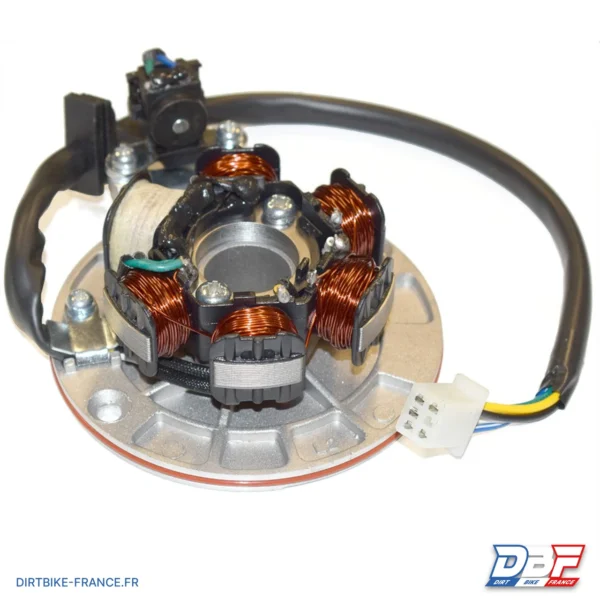 Stator 6 BOBINES mâle +plateau , photo 1 sur Dirt Bike France